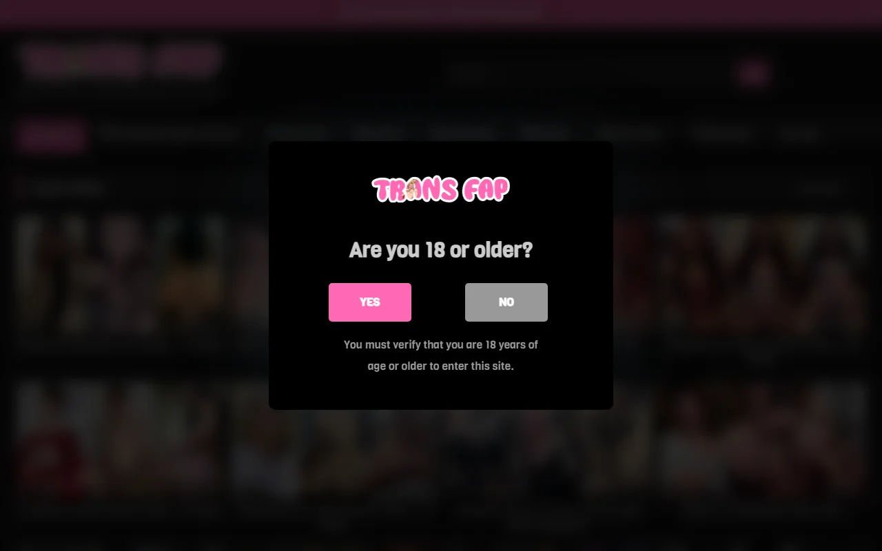 Screenshot: Transfap Screenshot of Transfap